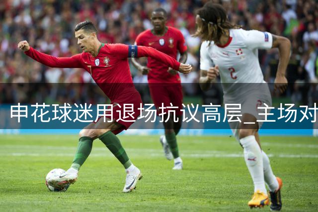 申花球迷用退场抗议高层 主场对战泰山现抵制行为